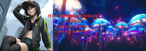 трава Гатчина