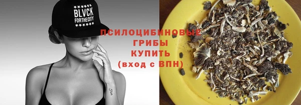 СК Абдулино
