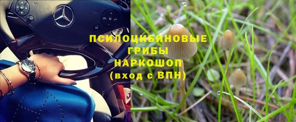 амф Абинск